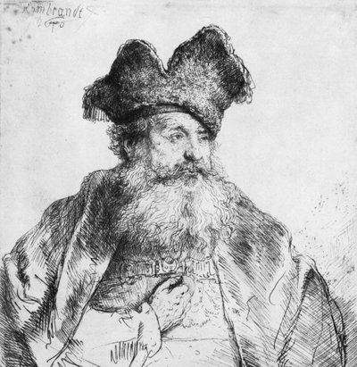 Portrait of an Old Man by Rembrandt van Rijn